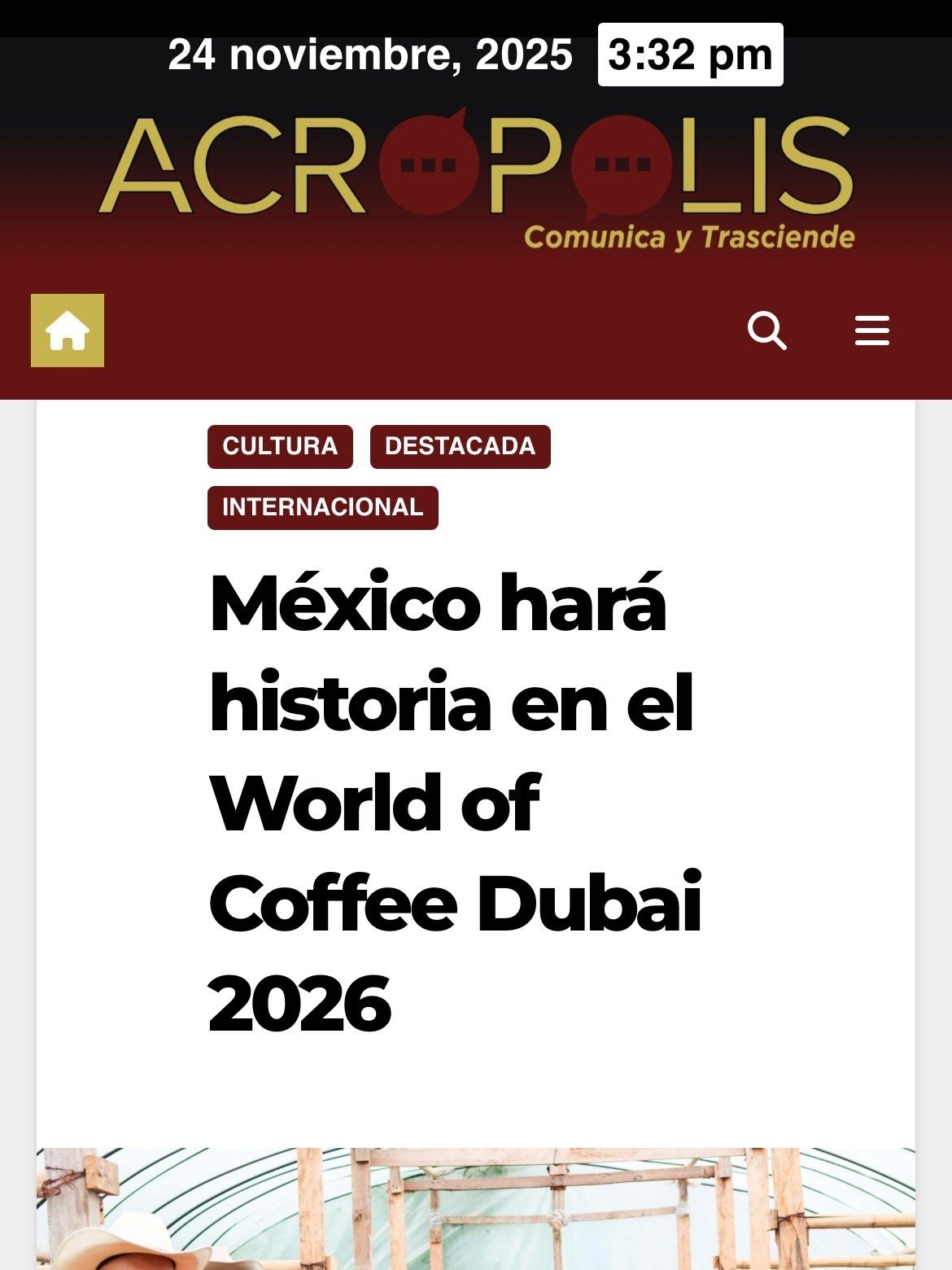 Acrópolis · artículo